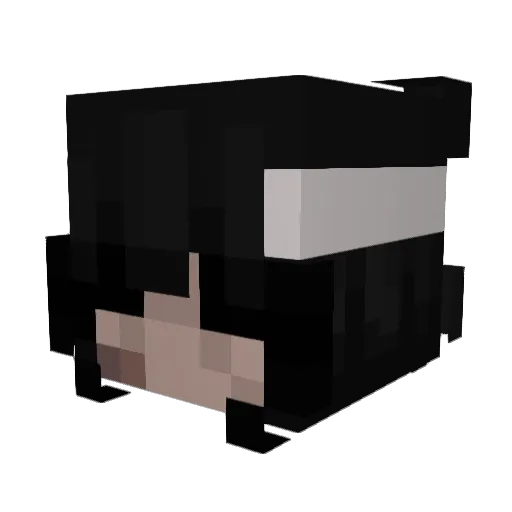 Rexxxxxxx Minecraft avatar head, 3D render