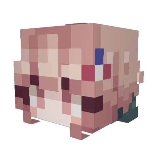 Rexy_S Minecraft avatar head, 3D render