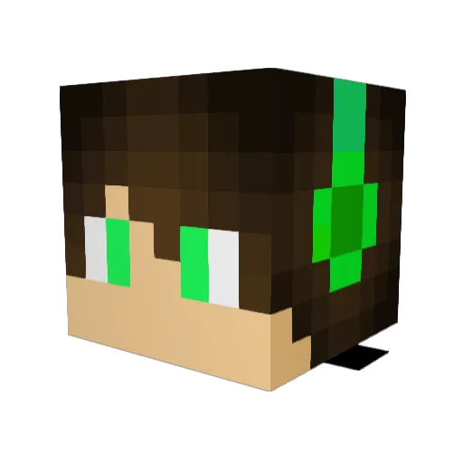 Rexyflexie Minecraft avatar head, 3D render