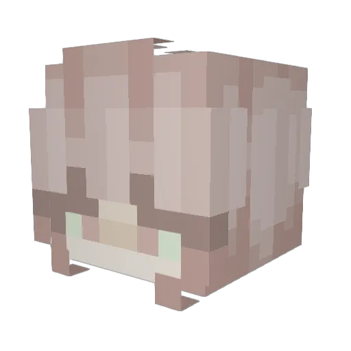 Rey123456 Minecraft avatar head, 3D render