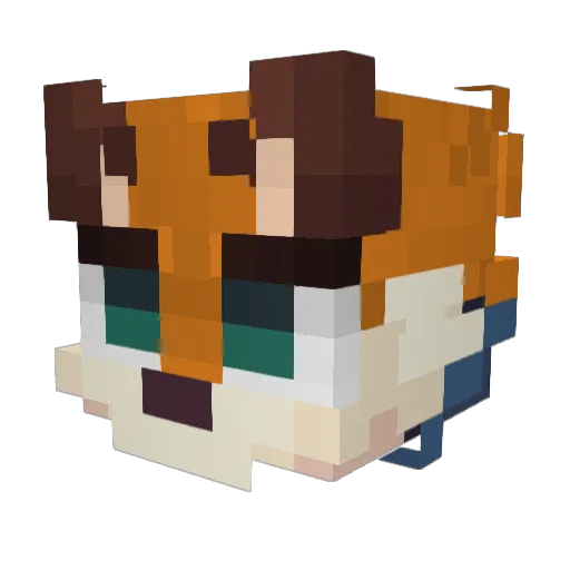 Rey1nard Minecraft avatar head, 3D render