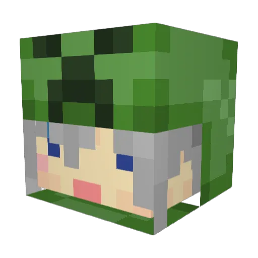 Rey4s Minecraft avatar head, 3D render