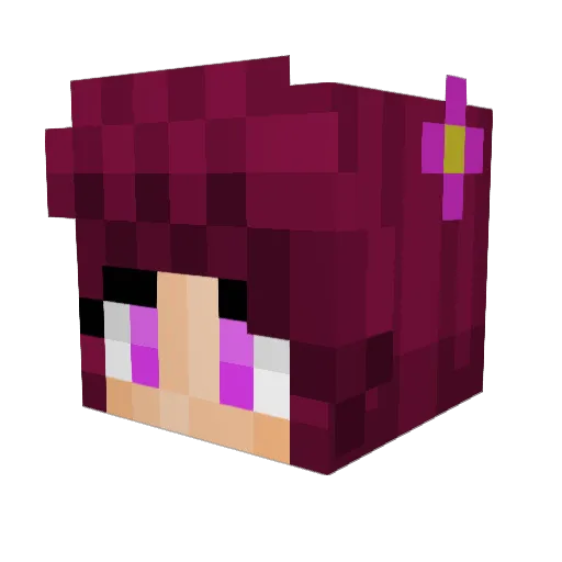 ReyNasake Minecraft avatar head, 3D render
