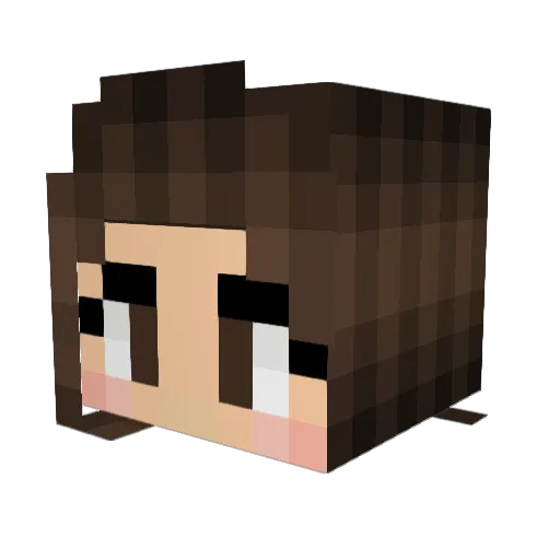 ReySkywalker77 Minecraft avatar head, 3D render