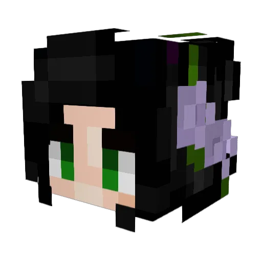 Rey_1989 Minecraft avatar head, 3D render