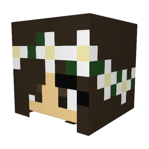Reybaee Minecraft avatar head, 3D render