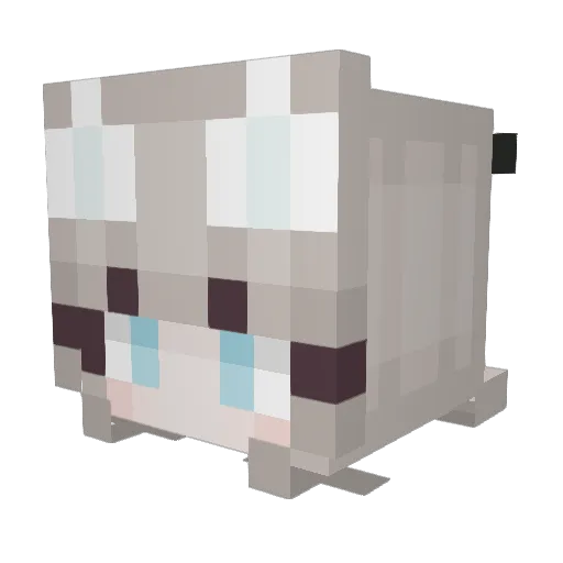 Reyes69 Minecraft avatar head, 3D render