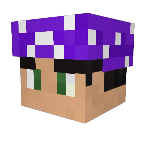 Reyesa564 Minecraft avatar head, 3D render