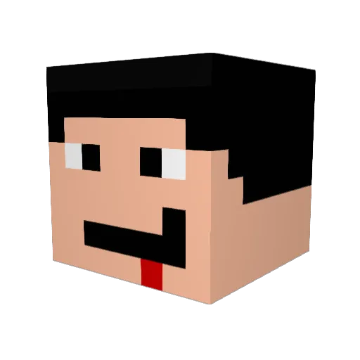 Reylobo Minecraft avatar head, 3D render