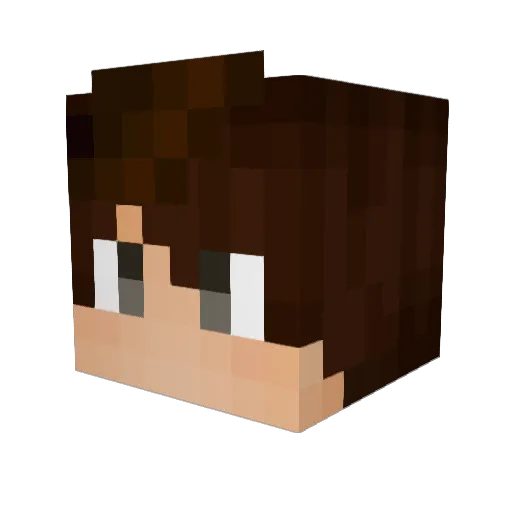 Reyn_yuu2010 Minecraft avatar head, 3D render