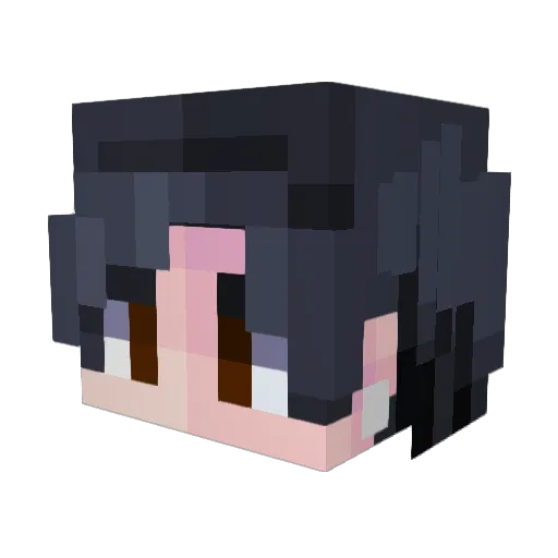 Reynard__ Minecraft avatar head, 3D render