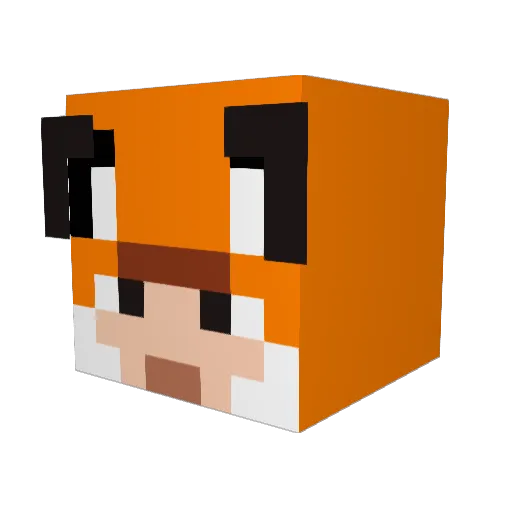 Reynem9 Minecraft avatar head, 3D render