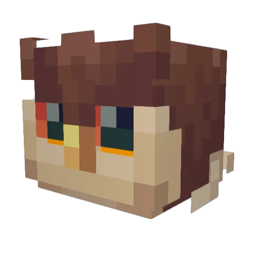 Reyquil Minecraft avatar head, 3D render