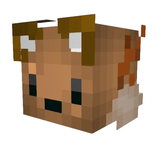 Reystigg Minecraft avatar head, 3D render