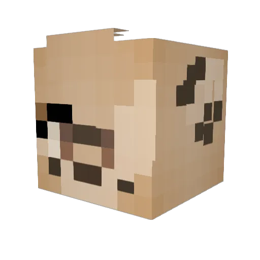 Reyth13 Minecraft avatar head, 3D render