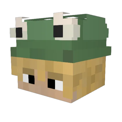 Reytrock Minecraft avatar head, 3D render