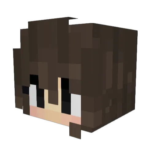 Reyva17 Minecraft avatar head, 3D render