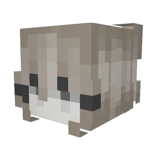 Rez66 Minecraft avatar head, 3D render