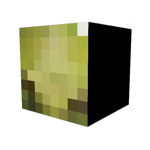 Rezard27 Minecraft avatar head, 3D render