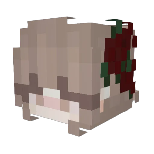 RezeScarlet Minecraft avatar head, 3D render