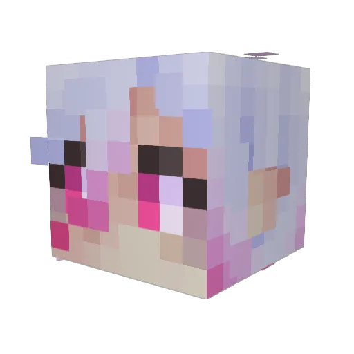 Rezendeevil_25 Minecraft avatar head, 3D render
