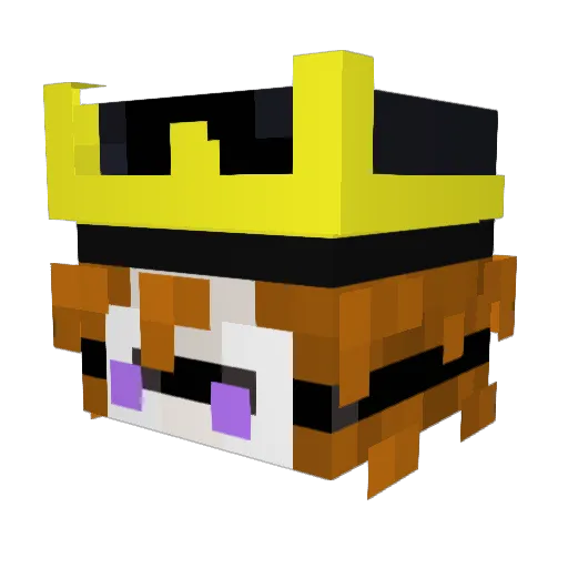 RezilQuake Minecraft avatar head, 3D render