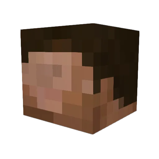 Rezim Minecraft avatar head, 3D render
