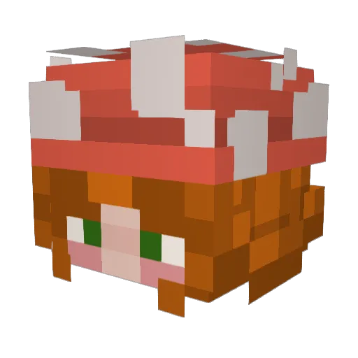 RezonKrauss Minecraft avatar head, 3D render