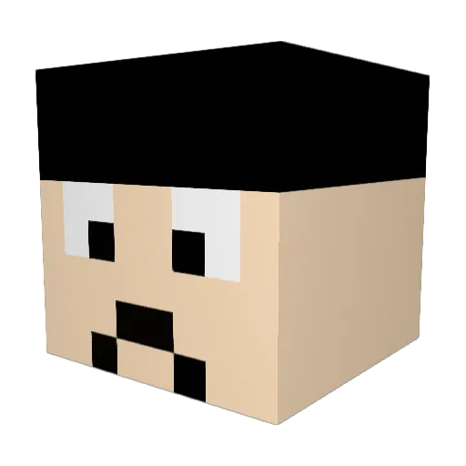 Rezonating Minecraft avatar head, 3D render