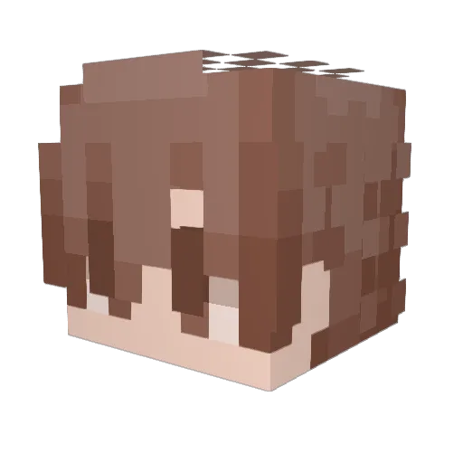 Rezwq Minecraft avatar head, 3D render