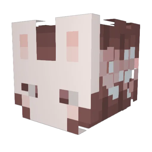 Rfie10 Minecraft avatar head, 3D render