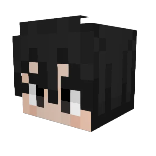RfissaWarrior Minecraft avatar head, 3D render