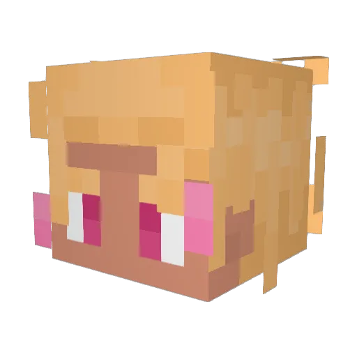 Rflxez Minecraft avatar head, 3D render