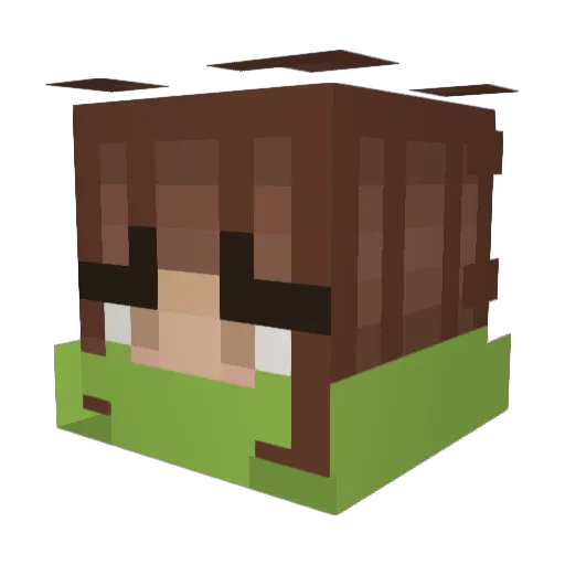 Rfrz Minecraft avatar head, 3D render