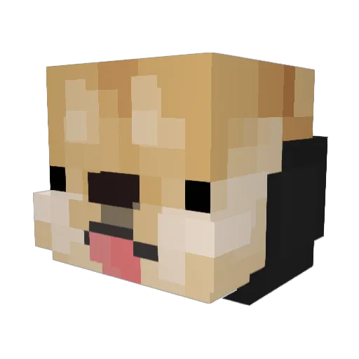 Rfty Minecraft avatar head, 3D render