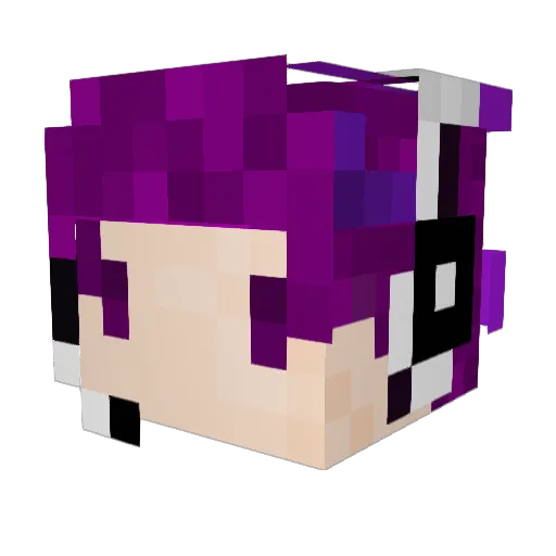 Rgisme Minecraft avatar head, 3D render