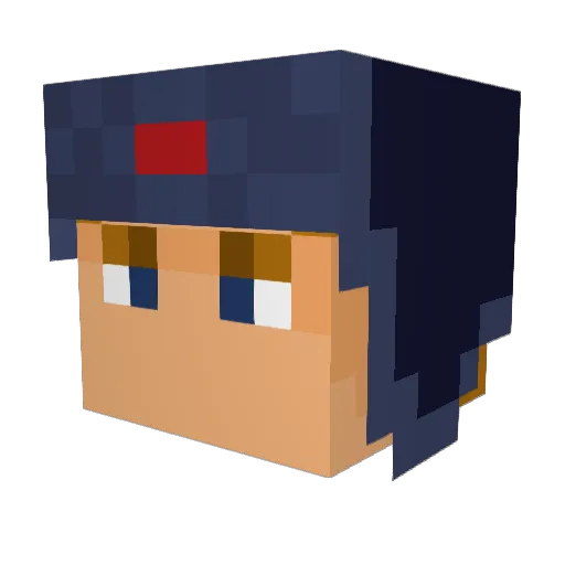 Rh1nestoneC0wboy Minecraft avatar head, 3D render