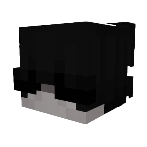 RhNull Minecraft avatar head, 3D render