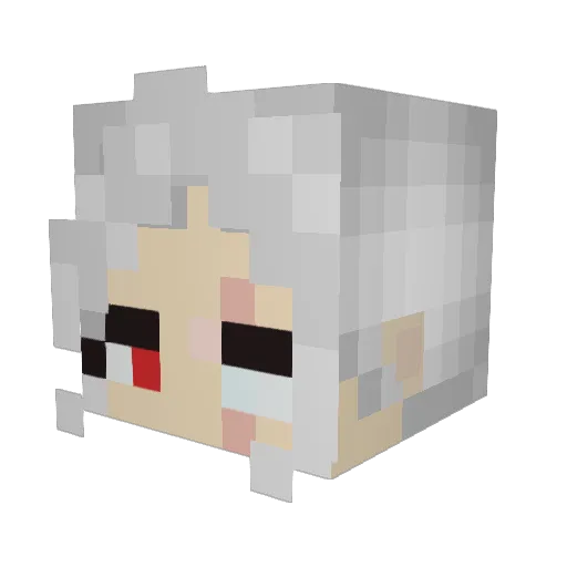 Rhaelyi Minecraft avatar head, 3D render
