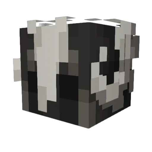 Rhagonis Minecraft avatar head, 3D render