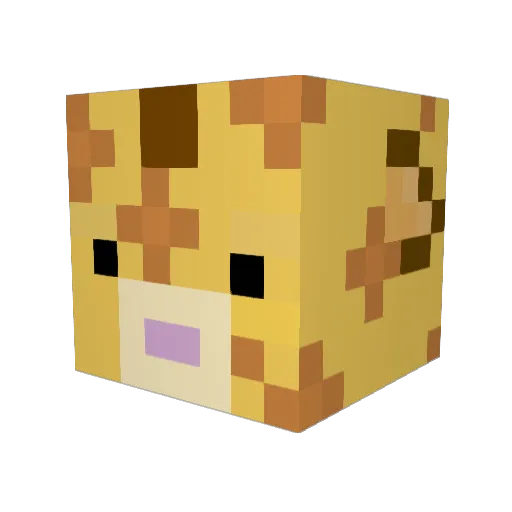 Rhea6758 Minecraft avatar head, 3D render