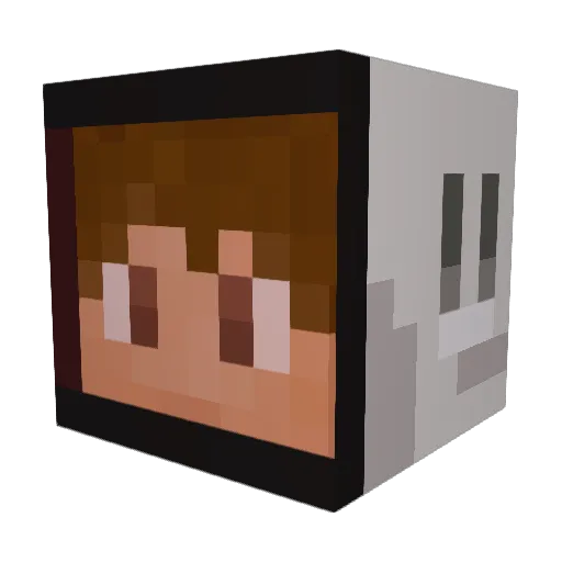 Rhegan_ Minecraft avatar head, 3D render