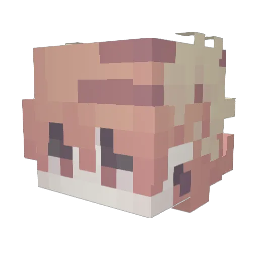 Rheivax12 Minecraft avatar head, 3D render