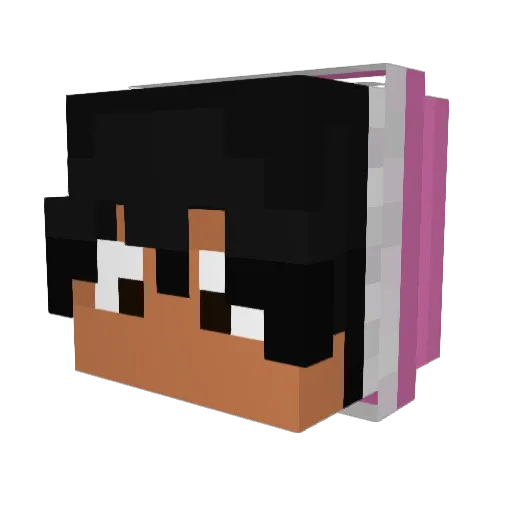 Rhen1 Minecraft avatar head, 3D render