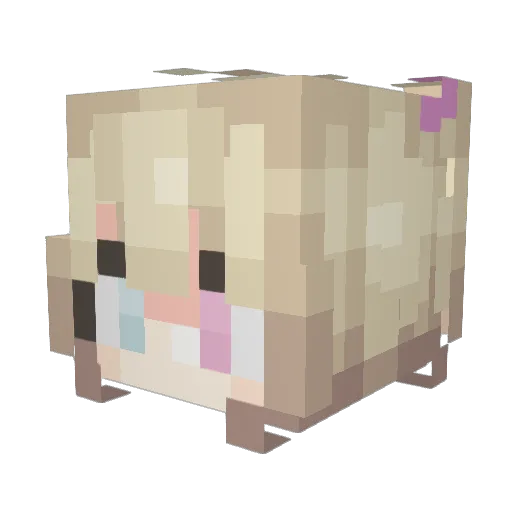Rhenay Minecraft avatar head, 3D render