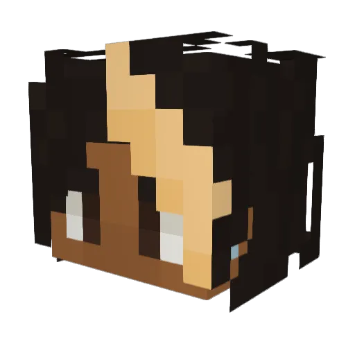 Rhennessy Minecraft avatar head, 3D render