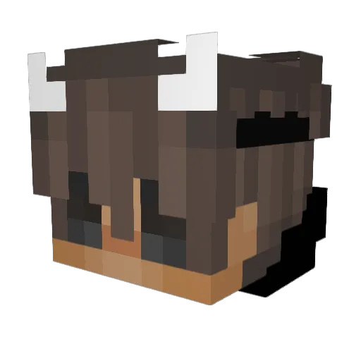 Rhetoricalities Minecraft avatar head, 3D render