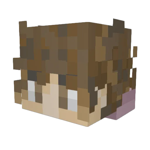 RhettB_ Minecraft avatar head, 3D render