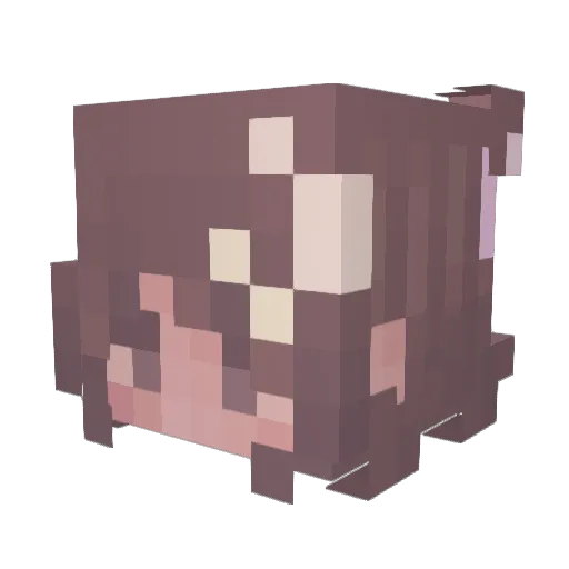 Rheuc Minecraft avatar head, 3D render