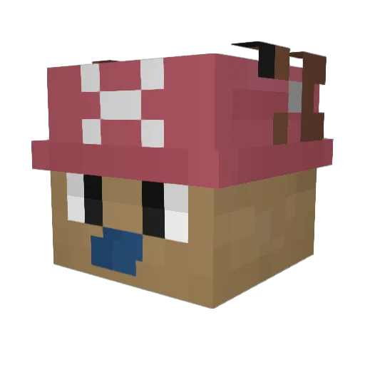 Rhexis01 Minecraft avatar head, 3D render
